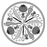 Gemüse-Mandala